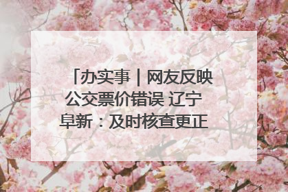 办实事｜网友反映公交票价错误 辽宁阜新：及时核查更正 加强实时巡检
