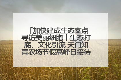 加快建成生态支点 寻访美丽细胞丨生态打底、文化引流 天门知青农场节假高峰日接待游客2万人次