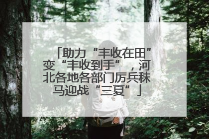 助力“丰收在田”变“丰收到手”，河北各地各部门厉兵秣马迎战“三夏”
