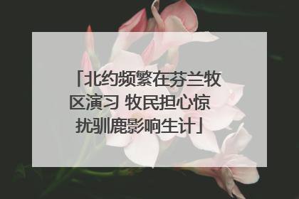 北约频繁在芬兰牧区演习 牧民担心惊扰驯鹿影响生计