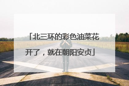 北三环的彩色油菜花开了，就在朝阳安贞
