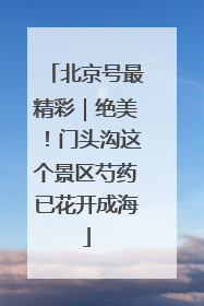 北京号最精彩｜绝美！门头沟这个景区芍药已花开成海