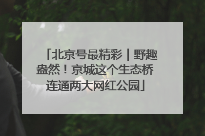 北京号最精彩｜野趣盎然！京城这个生态桥连通两大网红公园