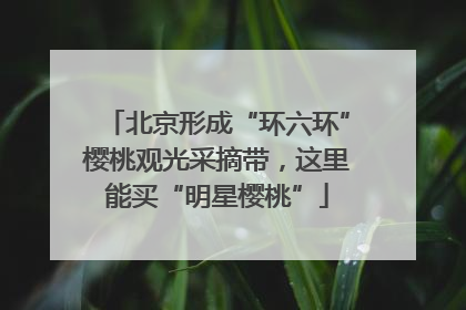 北京形成“环六环”樱桃观光采摘带，这里能买“明星樱桃”