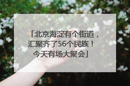 北京海淀有个街道，汇聚齐了56个民族！今天有场大聚会