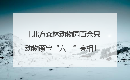 北方森林动物园百余只动物萌宝“六一”亮相