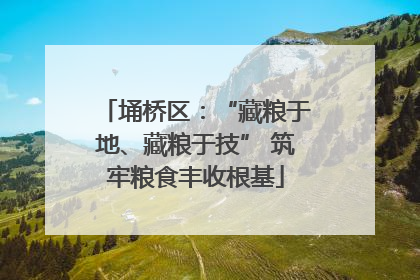 埇桥区：“藏粮于地、藏粮于技” 筑牢粮食丰收根基
