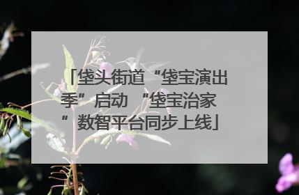 垡头街道“垡宝演出季”启动 “垡宝治家”数智平台同步上线
