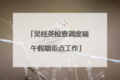 吴桂英检查调度端午假期重点工作