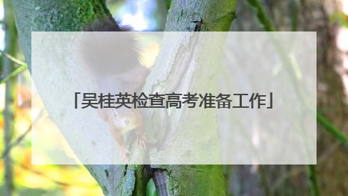 吴桂英检查高考准备工作