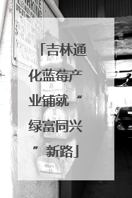 吉林通化蓝莓产业铺就“绿富同兴”新路