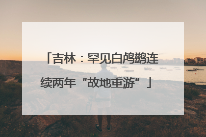 吉林：罕见白鸬鹚连续两年“故地重游”