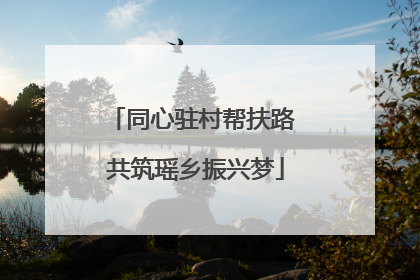 同心驻村帮扶路 共筑瑶乡振兴梦