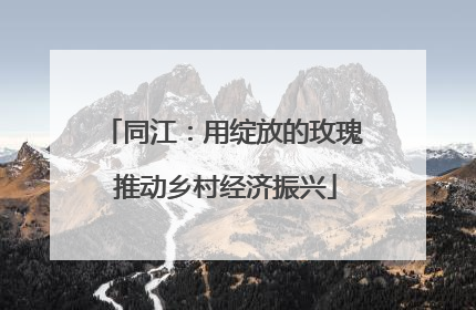 同江：用绽放的玫瑰 推动乡村经济振兴