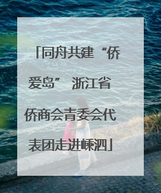 同舟共建“侨爱岛” 浙江省侨商会青委会代表团走进嵊泗