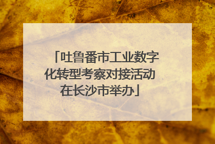 吐鲁番市工业数字化转型考察对接活动在长沙市举办