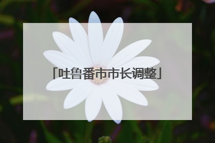 吐鲁番市市长调整