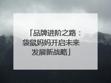 品牌进阶之路：袋鼠妈妈开启未来发展新战略