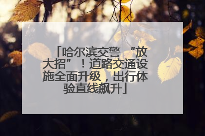 哈尔滨交警 “放大招”！道路交通设施全面升级，出行体验直线飙升