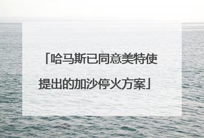 哈马斯已同意美特使提出的加沙停火方案