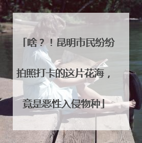 啥？！昆明市民纷纷拍照打卡的这片花海，竟是恶性入侵物种