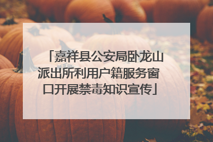 嘉祥县公安局卧龙山派出所利用户籍服务窗口开展禁毒知识宣传