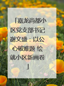嘉龙尚都小区党支部书记谢文盛：以公心破难题 绘就小区新画卷