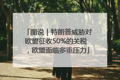 图说｜特朗普威胁对欧盟征收50%的关税，欧盟面临多重压力