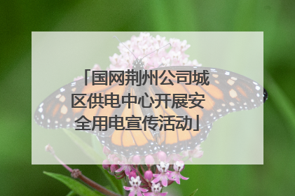 国网荆州公司城区供电中心开展安全用电宣传活动