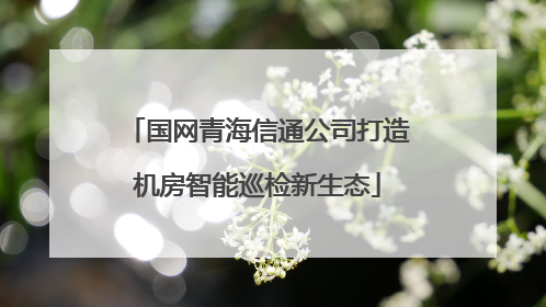 国网青海信通公司打造机房智能巡检新生态