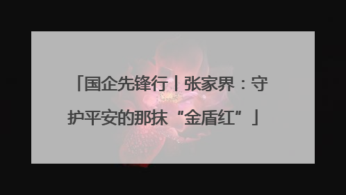 国企先锋行丨张家界：守护平安的那抹“金盾红”