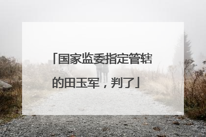 国家监委指定管辖的田玉军，判了