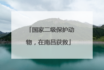 国家二级保护动物，在南昌获救