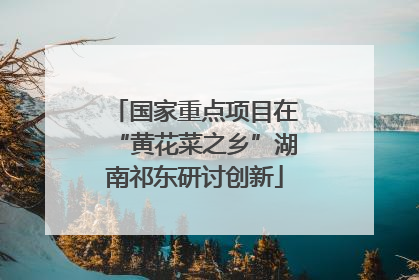 国家重点项目在“黄花菜之乡”湖南祁东研讨创新
