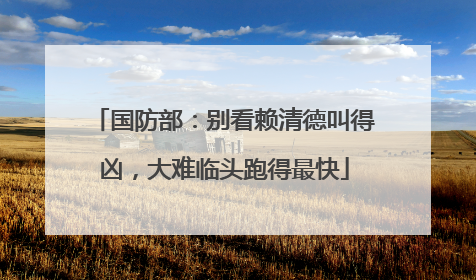 国防部：别看赖清德叫得凶，大难临头跑得最快