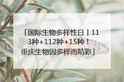 国际生物多样性日丨113种+112种+15种！重庆生物因多样而精彩