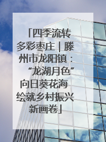 四季流转 多彩枣庄｜滕州市龙阳镇：“龙湖月色”向日葵花海 绘就乡村振兴新画卷