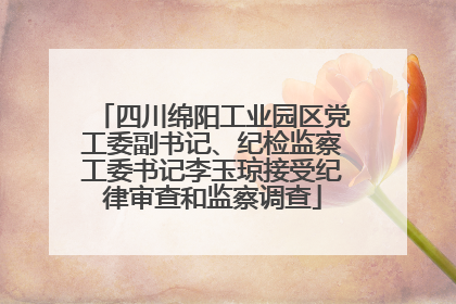 四川绵阳工业园区党工委副书记、纪检监察工委书记李玉琼接受纪律审查和监察调查
