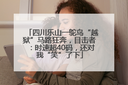 四川乐山一鸵鸟“越狱”马路狂奔，目击者：时速超40码，还对我“笑”了下