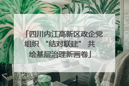 四川内江高新区政企党组织 “结对联建” 共绘基层治理新画卷