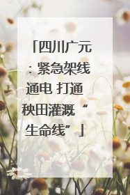 四川广元：紧急架线通电 打通秧田灌溉“生命线”