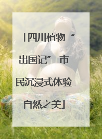 四川植物“出国记” 市民沉浸式体验自然之美
