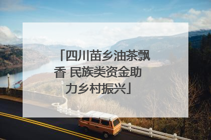 四川苗乡油茶飘香 民族类资金助力乡村振兴