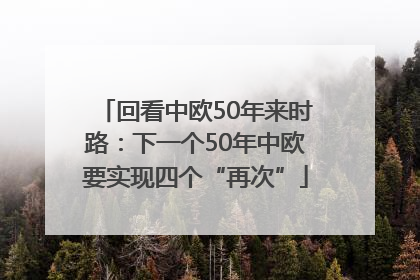 回看中欧50年来时路：下一个50年中欧要实现四个“再次”
