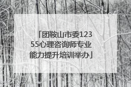 团鞍山市委12355心理咨询师专业能力提升培训举办