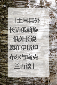土耳其外长访俄斡旋 俄外长说愿在伊斯坦布尔与乌克兰再谈