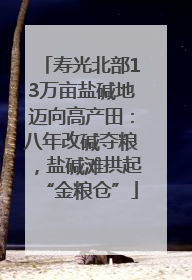 寿光北部13万亩盐碱地迈向高产田：八年改碱夺粮，盐碱滩拱起“金粮仓”
