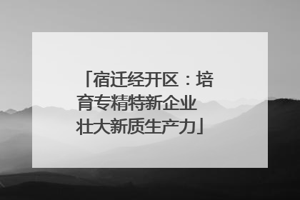 宿迁经开区：培育专精特新企业 壮大新质生产力