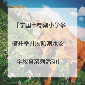 宁国市鼎湖小学多措并举开展防溺水安全教育系列活动