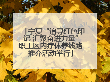 宁夏“追寻红色印记 汇聚奋进力量”职工区内疗休养线路推介活动举行